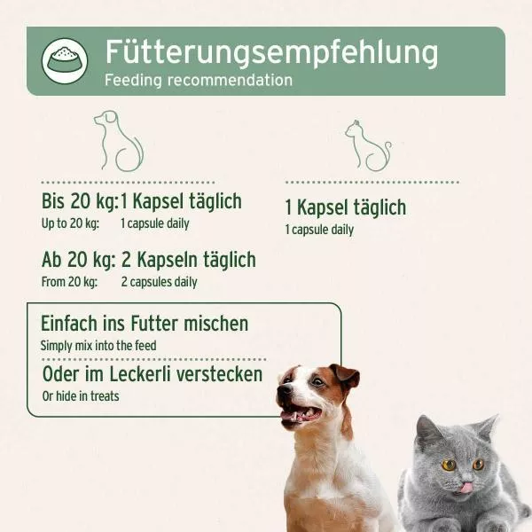 Lachsöl Omega 3 - Kapseln